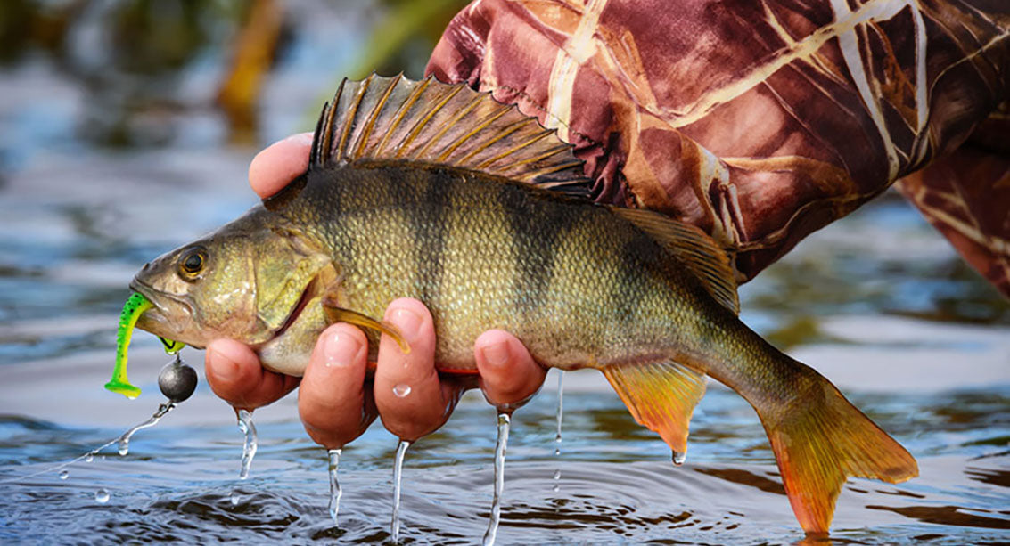 Jig fishing discount