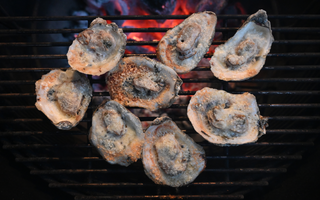 Grilled Parmesan Oysters: A Lowcountry Tradition