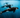Into the Wild: Chasing Orcas in the Sea of Cortez with Matt Geo