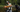 Field Notes 02: Chasing Native Bull Trout in the Pacific Northwest