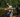 Field Notes 02: Chasing Native Bull Trout in the Pacific Northwest