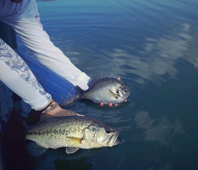 Sarah Parvin’s Slab Lab: Giant Bluegill Project in Alabama