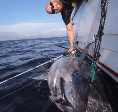 TORTURE TEST: BLUEFIN TUNA FISHING WITH A STELLA SPINNING REEL