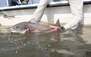 holding a Redfish