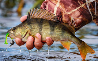 perch with hook in hand