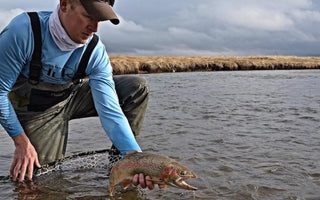 Rainbow Trout Fly Fishing Tips & Gear