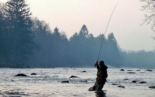 Trout Fly Fishing Tips
