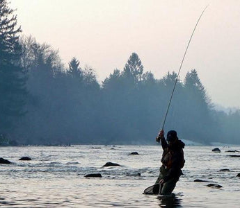 Trout Fly Fishing Tips