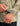 Men's Storm Printed 3-Layer Jacket Moss detail