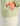 Women's Breaker Pullover Spanish Moss detail